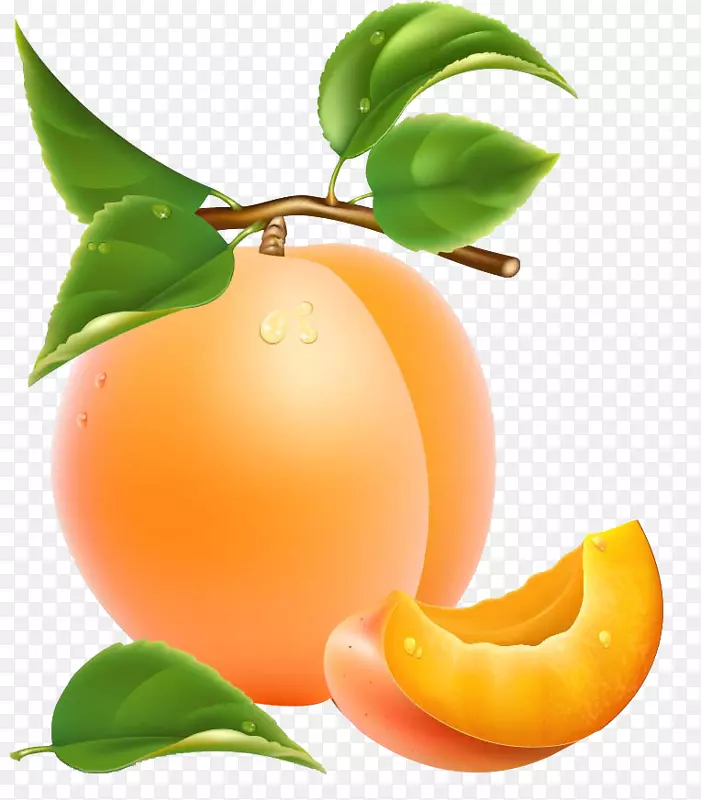 杏果夹艺术.杏花纹