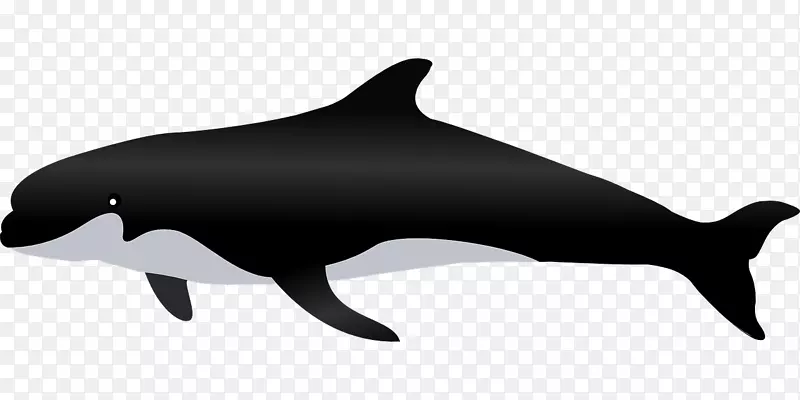 白鲸黑鲨