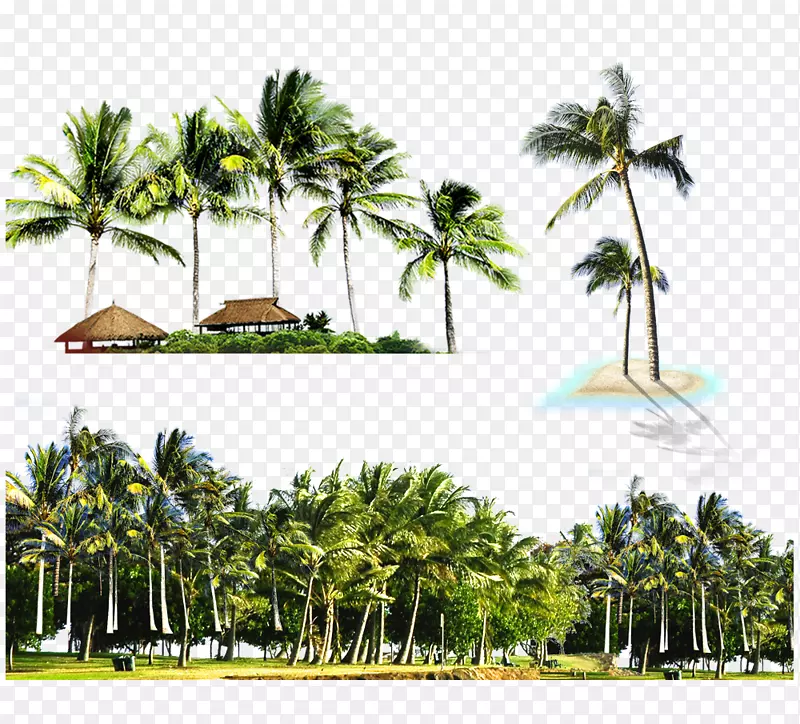 库塔浅滩岛天花板-椰子岛