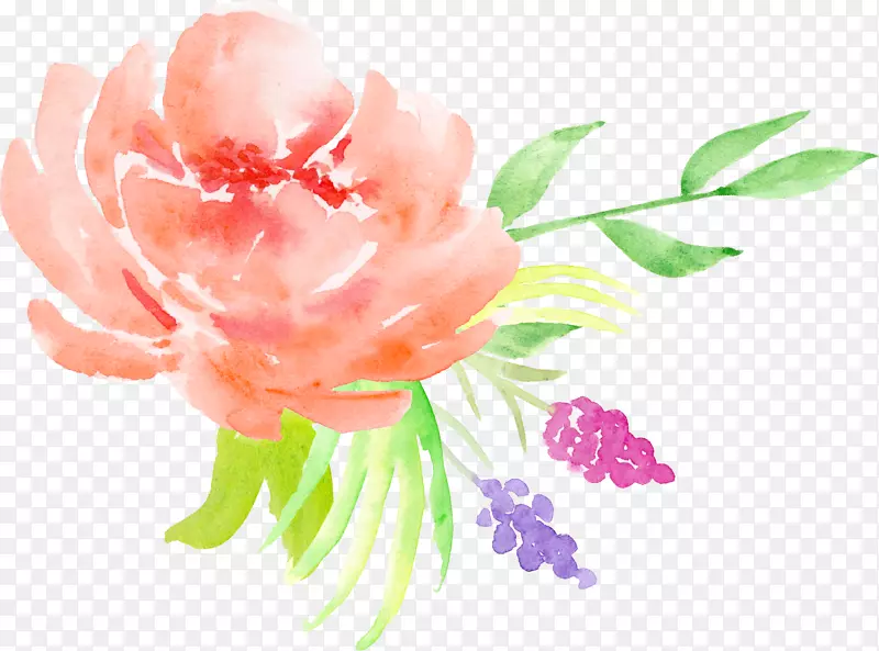 蒲公英玫瑰水彩画花卉图案橙色玫瑰装饰图案