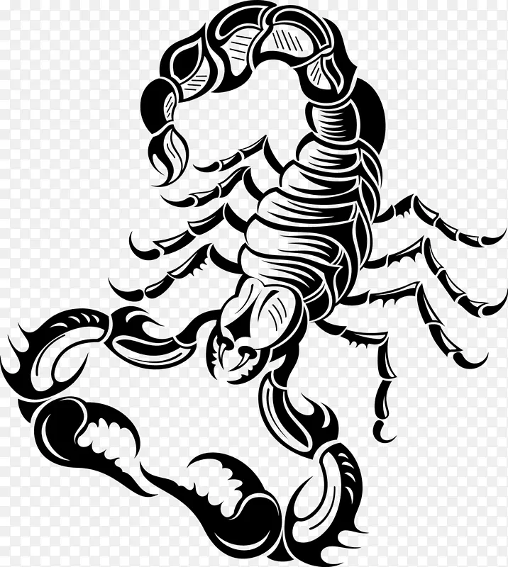 蝎子插图-纹身