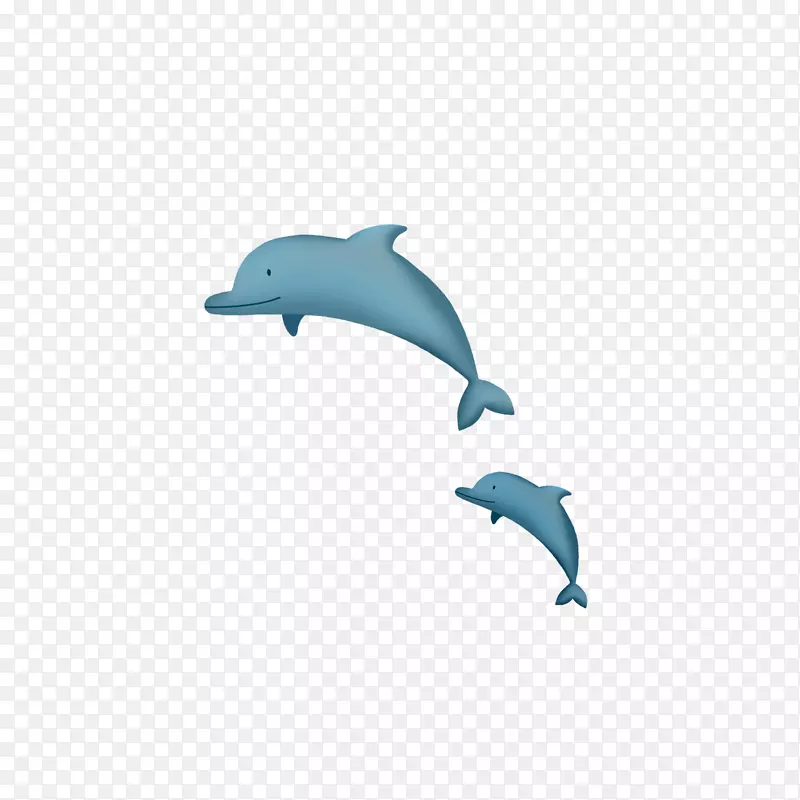 普通宽吻海豚图库溪卡通鲸
