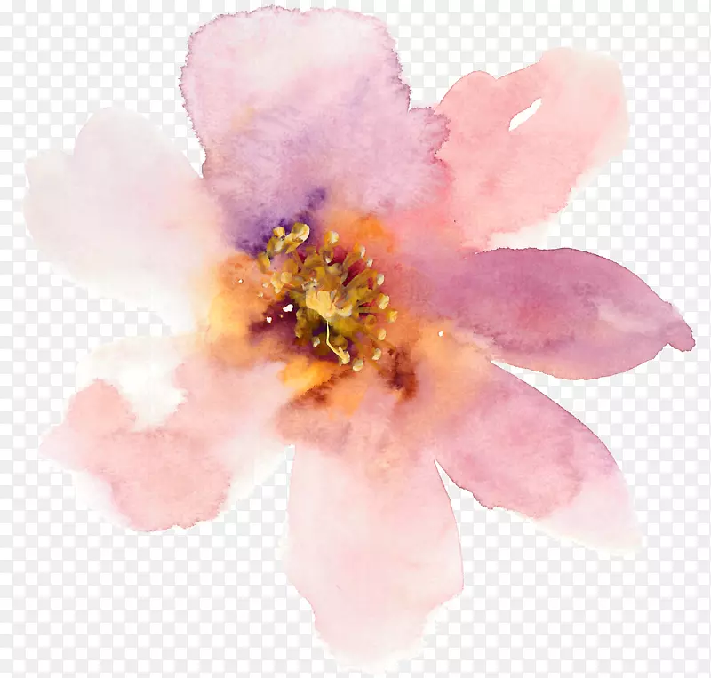 水彩画花卉-浅粉色水彩画花卉创作