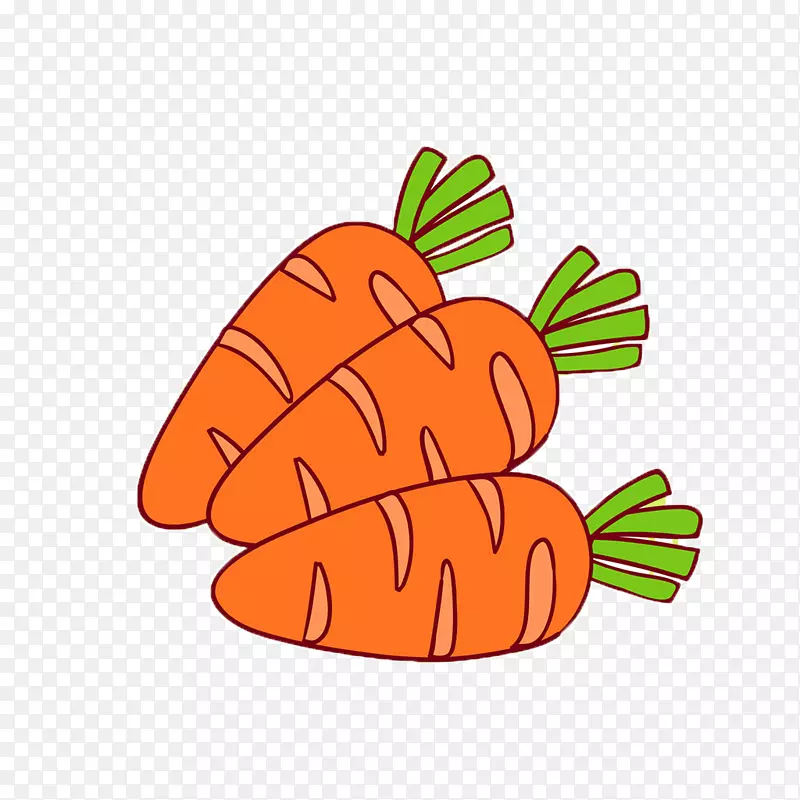 胡萝卜插图-胡萝卜