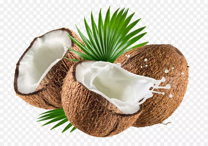 椰奶椰子水椰子油椰子