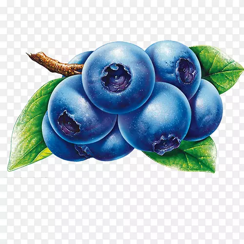 蓝莓水果剪贴画-蓝莓