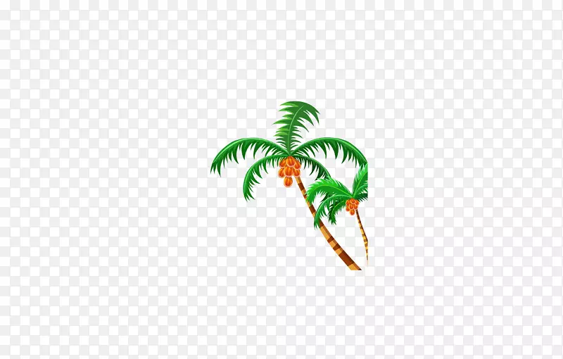 纳塔椰子-夏天，棕榈树，海滩