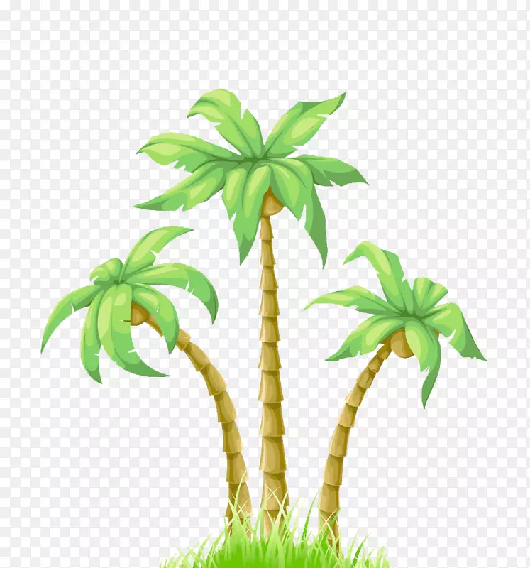 卡通海报椰子-夏季插画棕榈树