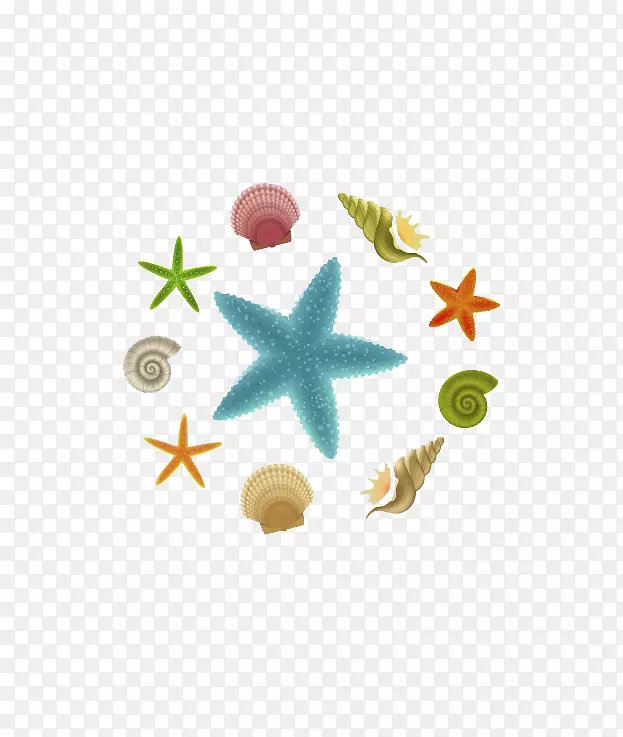 海星剪贴画-可爱的海洋生物
