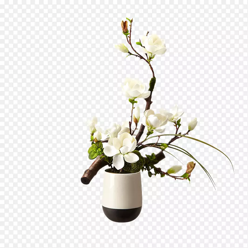花卉花束设计玉兰白兰地花卉艺术