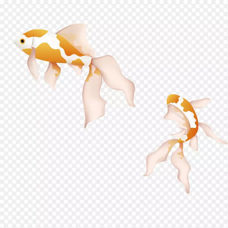 壁纸-黄白鲤鱼游泳