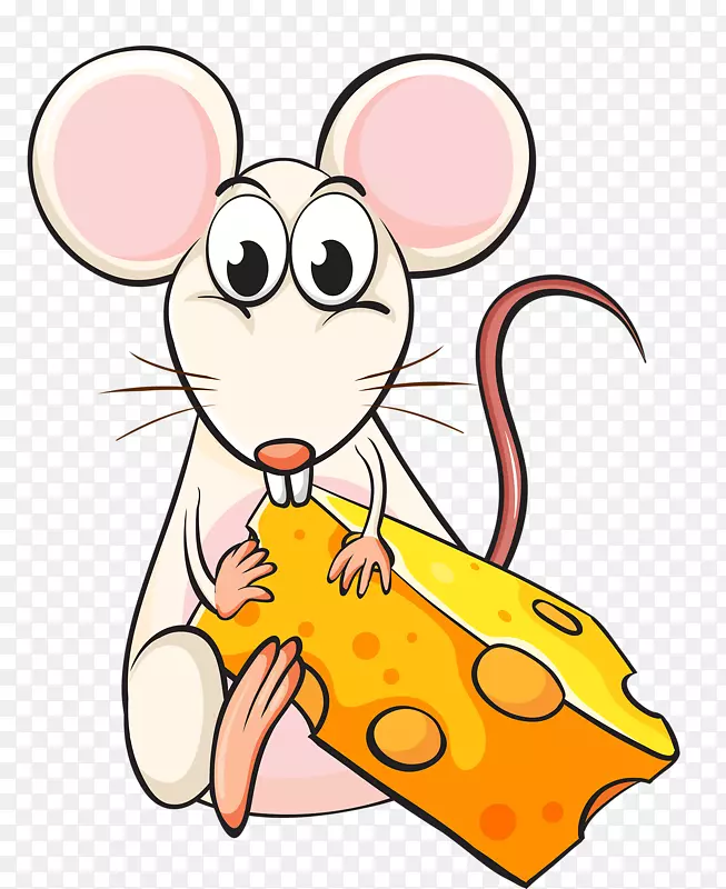 老鼠卡通插图-吃奶酪的老鼠