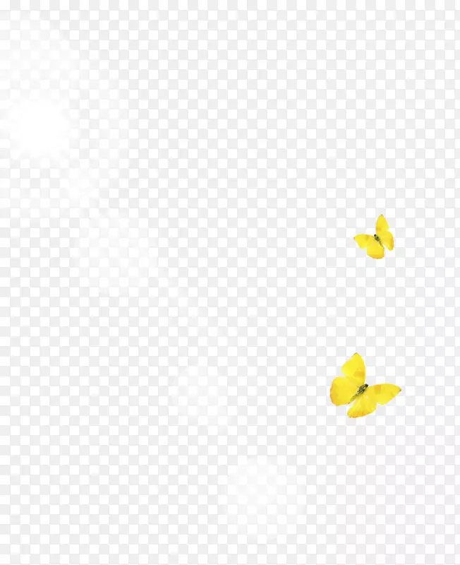 直线角点黄色图案蝴蝶太阳射线
