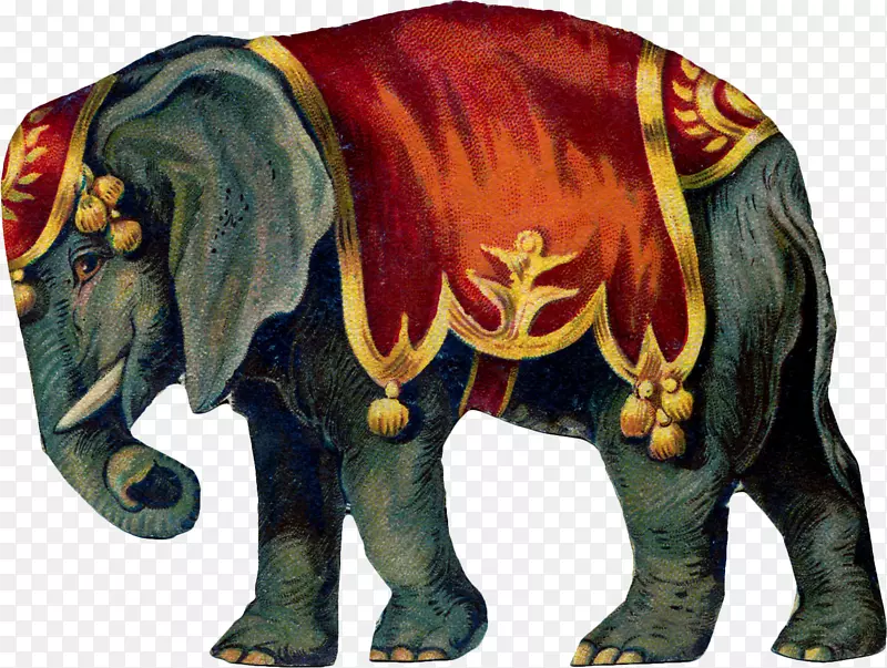 马戏团大象剪辑艺术-马戏团