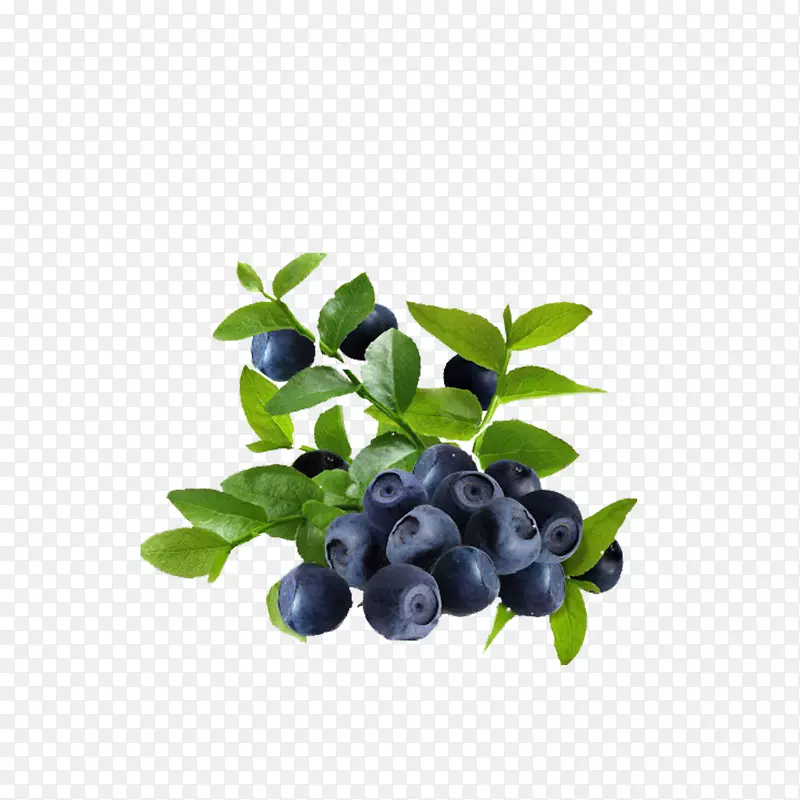 果汁水果-蓝莓叶-蓝莓