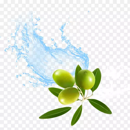 水橄榄表面活性剂kk印度石油特产私人有限公司橄榄油补给