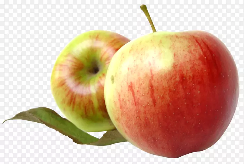 苹果水果剪贴画-两个带叶子的红苹果