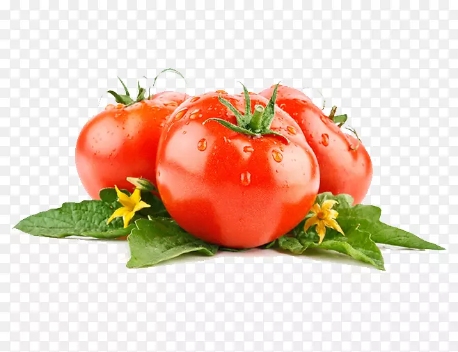 蔬菜番茄生菜水果食品-番茄