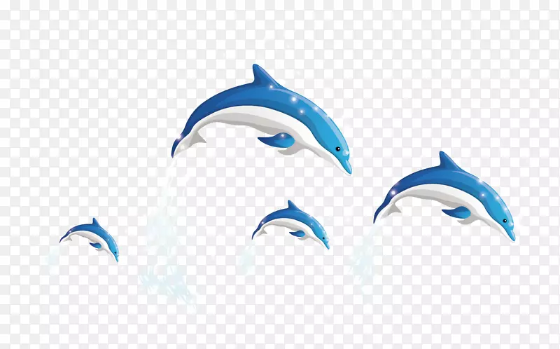 海豚壁纸-海豚