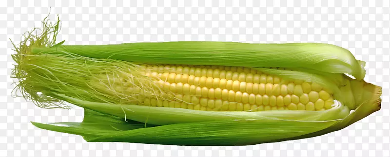 玉米上的玉米蔬菜食品-玉米