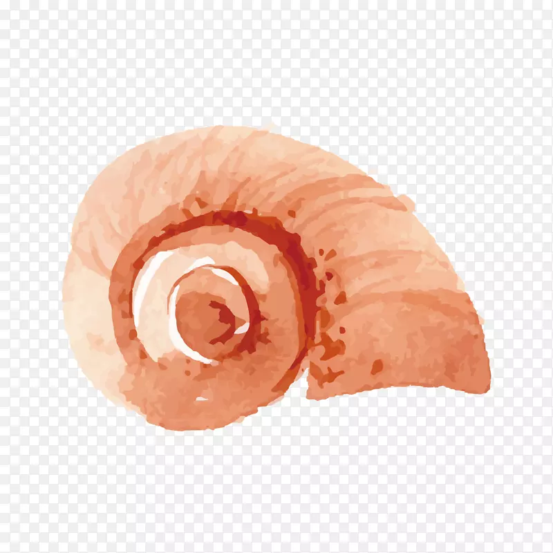 海参正交换器-粉红蜗牛