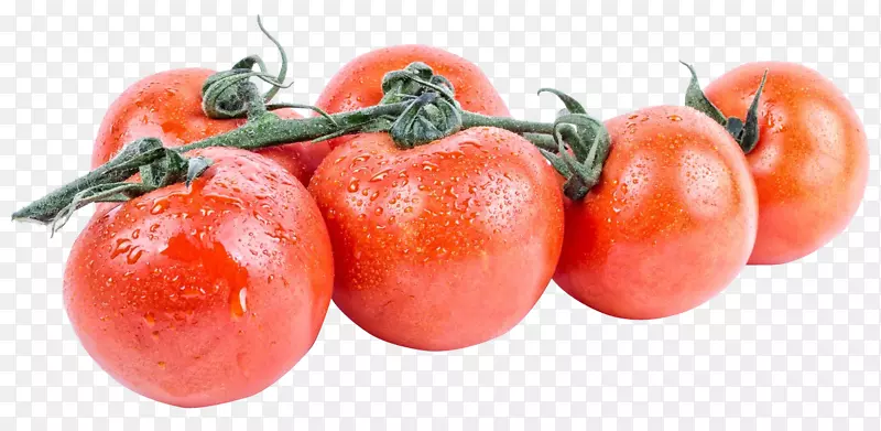 李子番茄素菜-番茄
