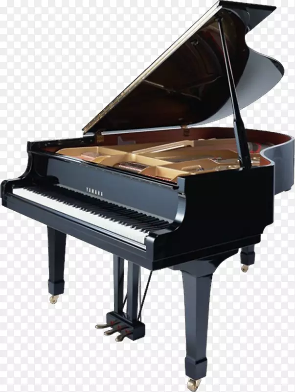 南帕大钢琴乐器键盘钢琴
