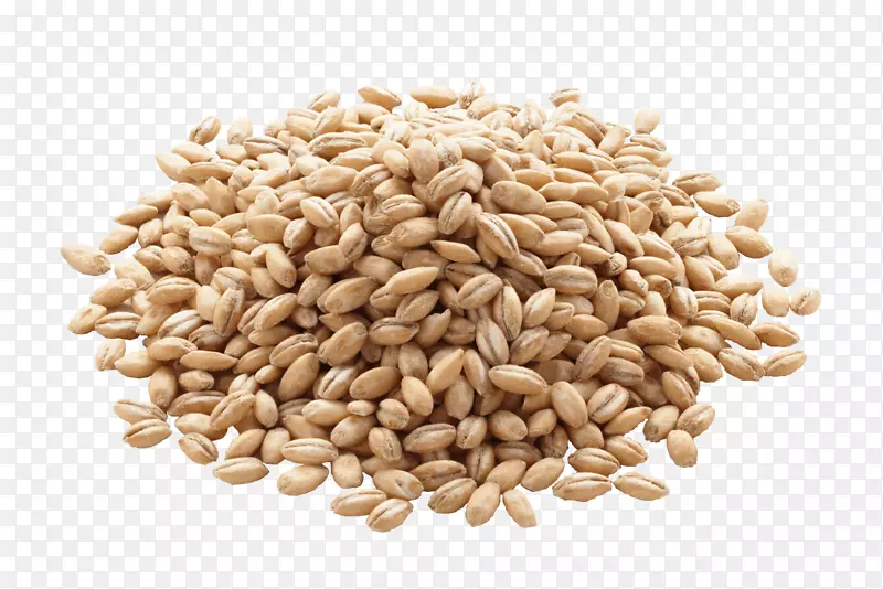 大麦有机食品谷类全麦米-大麦PNG图像