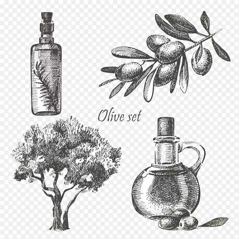橄榄油原料摄影插图.手绘橄榄油