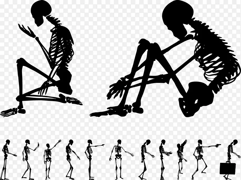 人体骨骼-交流姿态轮廓人体骨骼