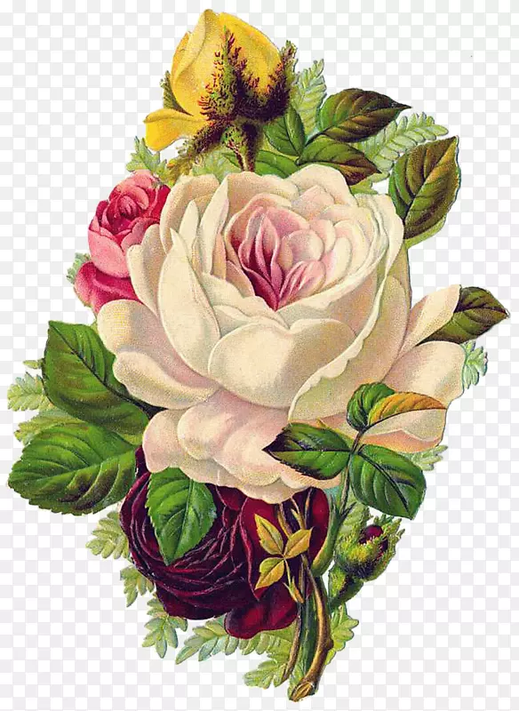 玫瑰花纸，婴儿的花束：一束古老的法国韵律和曲调。-手绘花卉海报花卉背景图片浪漫手绘花卉