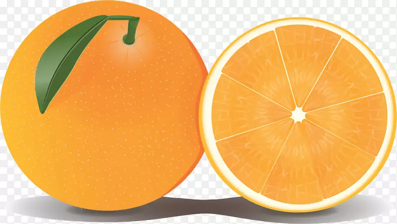 柚子橙剪贴画-桔黄色剪贴画