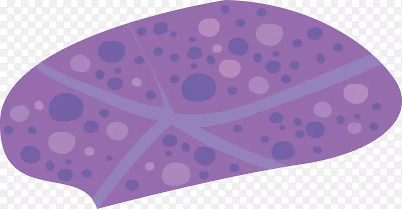 紫海星