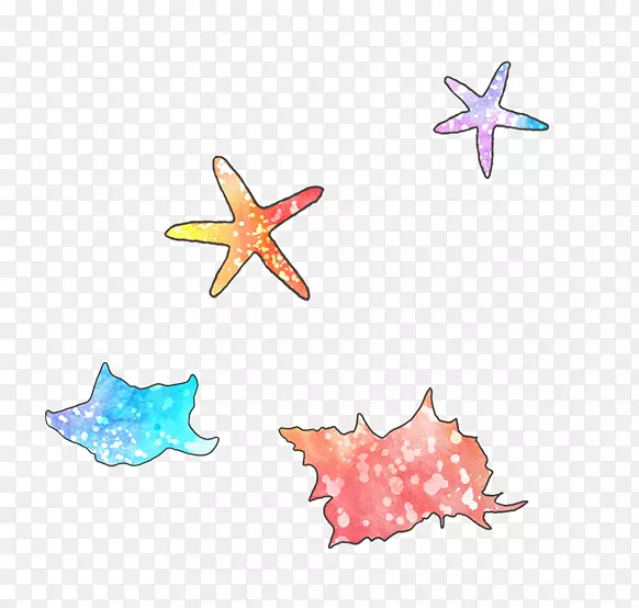 海星鱼夹子艺术-紫海星
