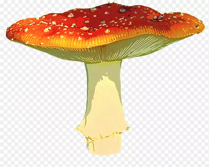 蘑菇剪贴画-马蹄莲PNG透明图像