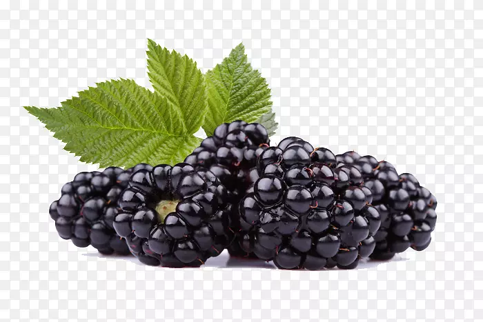 水果-黑色覆盆子黑莓水果-黑色覆盆子PNG照片