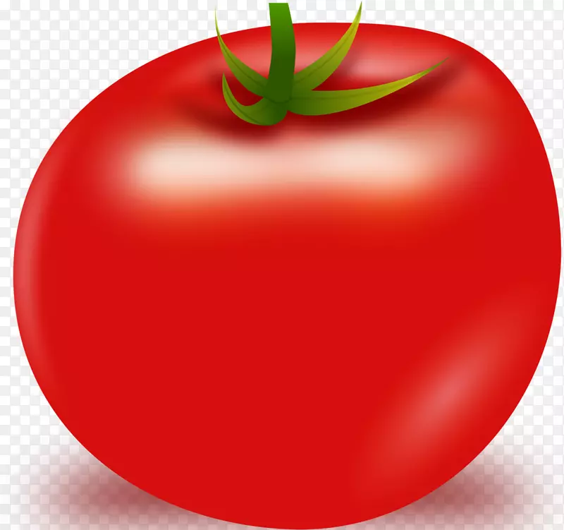 樱桃番茄圣玛扎诺番茄剪贴画-番茄载体PNG