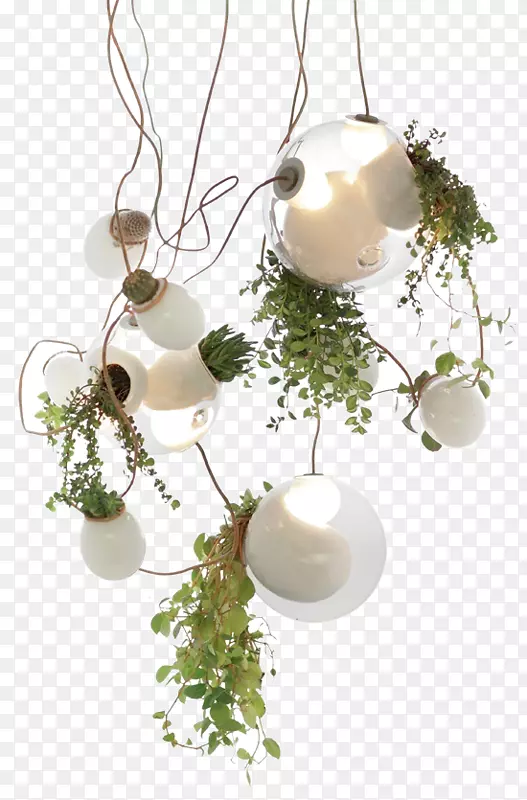 宝琪照明吊灯固定器电灯挂绿植物