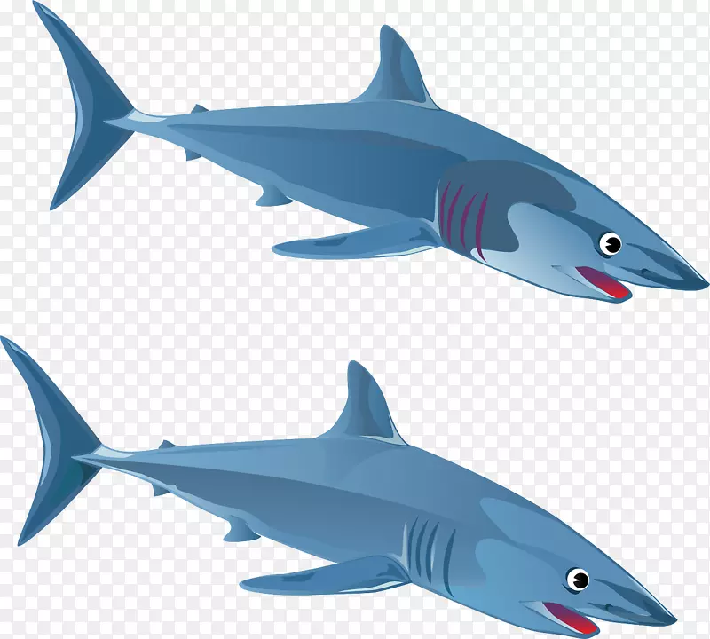 大白鲨蓝鲨剪贴画-捕食者鲨鱼