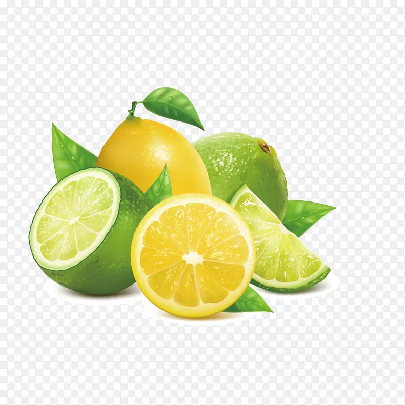 柠檬键酸橙-酸橙和黄色柠檬