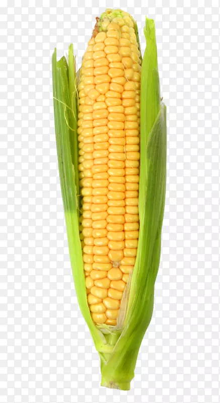 玉米地玉米板市场上的玉米-玉米