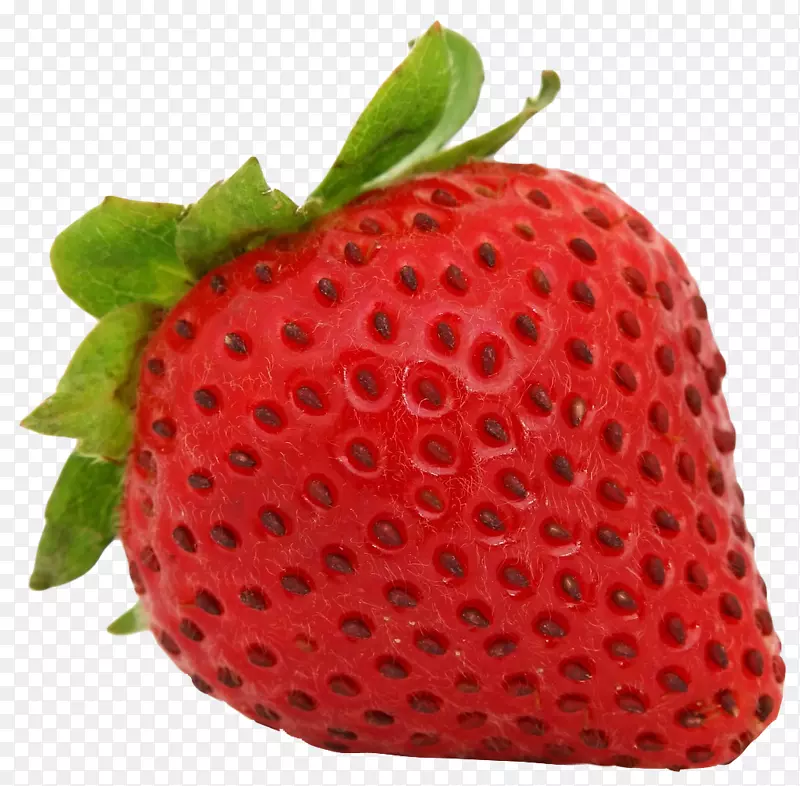 波斯科草莓果-红草莓