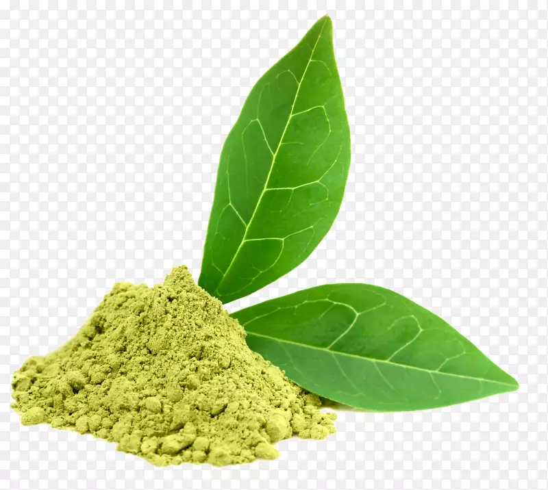 绿茶膳食补充剂乌龙茶花-绿茶PNG图片