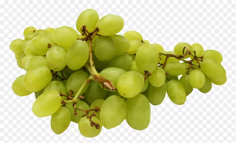 苏大拿果汁葡萄-绿葡萄