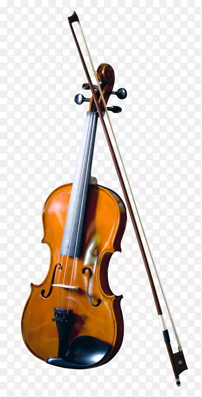 低音小提琴低音乐器小提琴