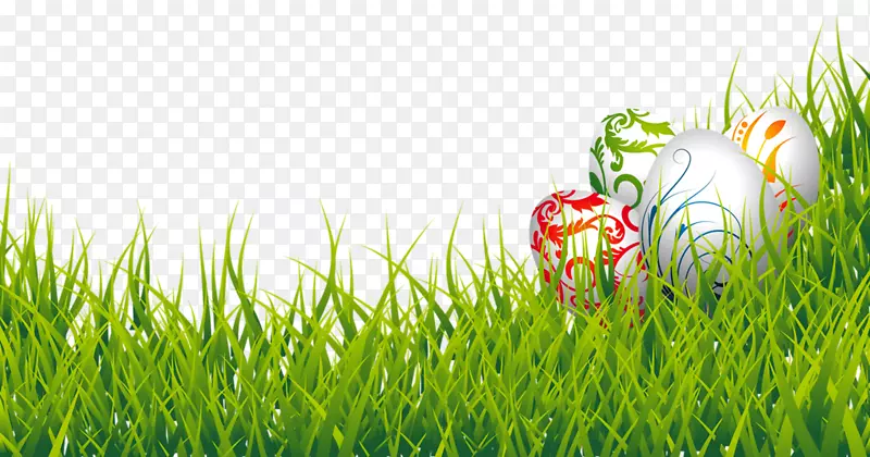 复活节兔子复活节彩蛋剪贴画-鲜花设计