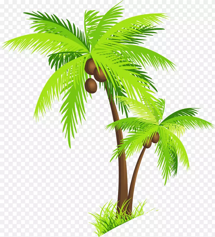 椰子槟榔科剪贴画-棕榈树图片
