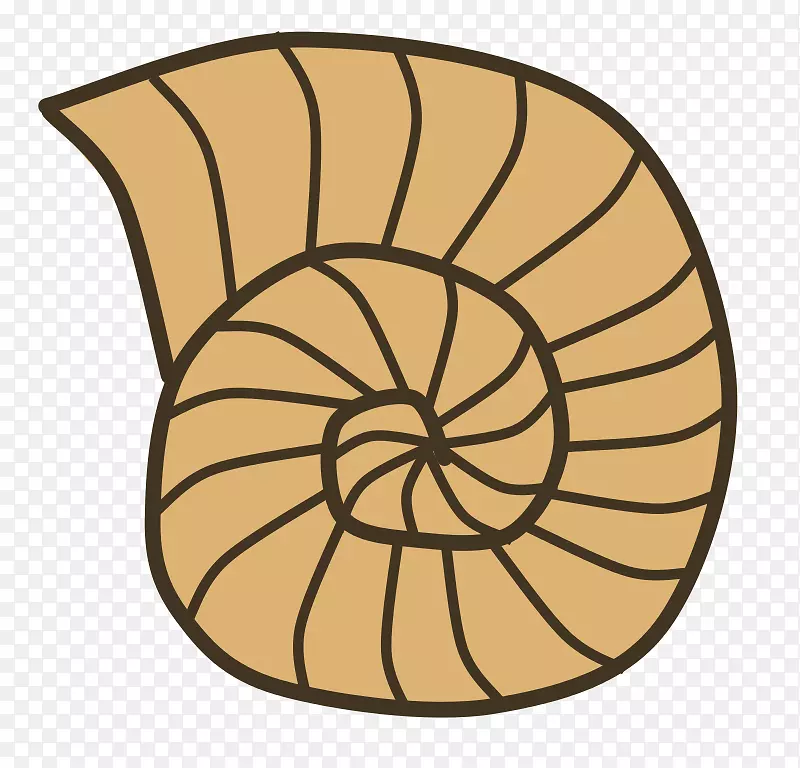 贝壳蜗牛腹足类贝壳剪贴画.化石剪贴画
