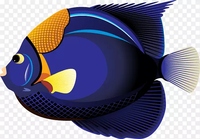 热带鱼金鱼剪贴画-热带鱼剪贴画