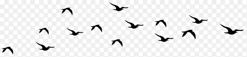 鸟不确定原理位置与动量空间普朗克常量鸟剪影剪贴画部件